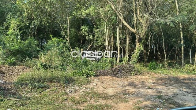 Propiedad de 2 Hectáreas, Zona Anfiteatro - LLA6260045 — foto 2