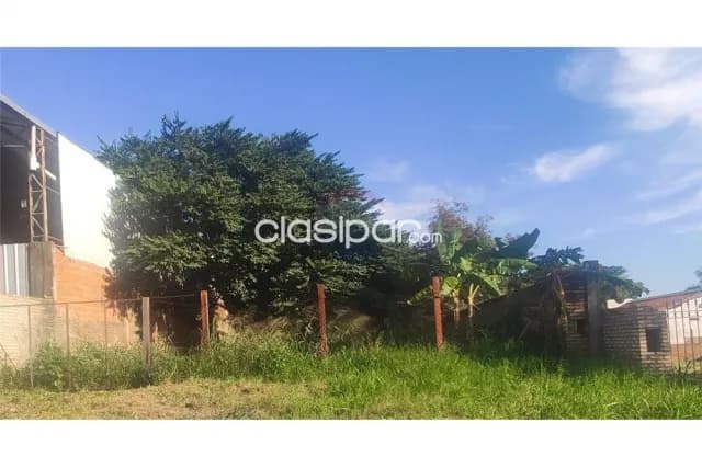 De 2500 hectareas en bahia negra chaco pyo, foto 3