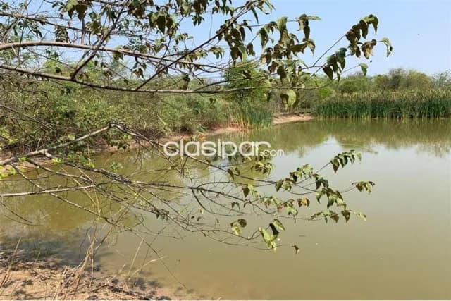 De 2500 hectareas en bahia negra chaco pyo, foto 4
