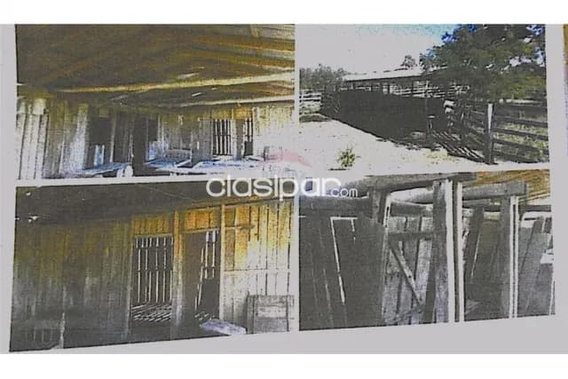 De 2500 hectareas en bahia negra chaco pyo, foto 5