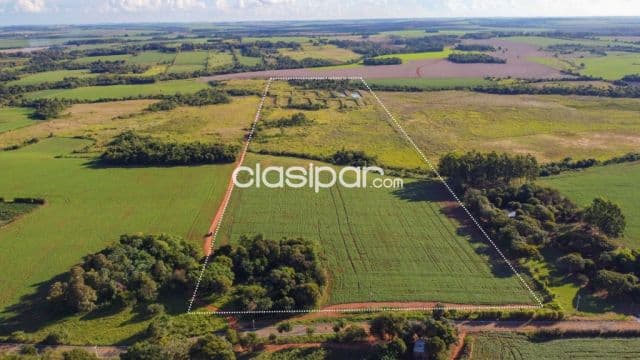 Terreno Rural Mecanizado en Los Cedrales - 18 Ha