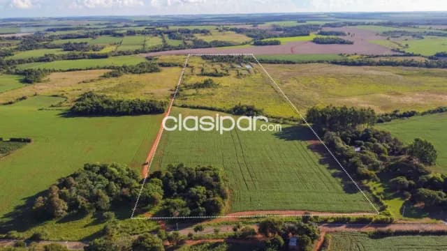 Terreno Rural Mecanizado en Los Cedrales - 18 Ha — foto 2
