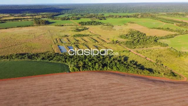 Terreno Rural Mecanizado en Los Cedrales - 18 Ha — foto 4