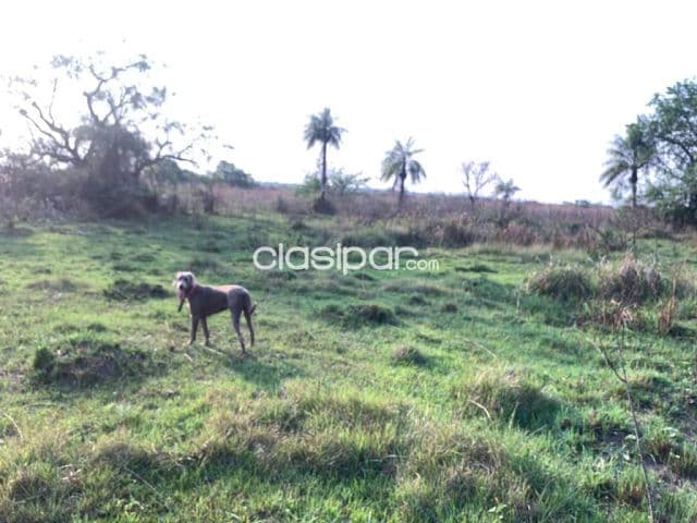 Propiedad en nueva colombia cod 3179 — foto 1