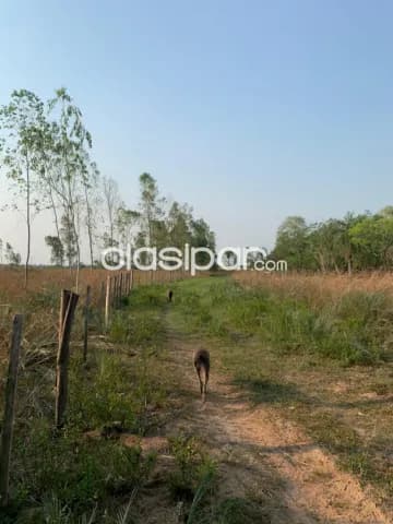 Propiedad en nueva colombia cod 3179 — foto 3