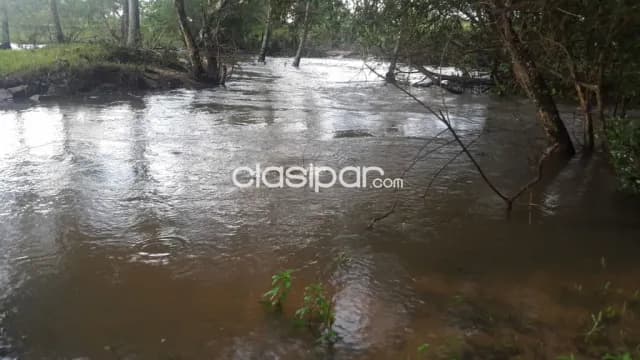 Propiedad en nueva colombia cod 3179 — foto 5