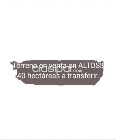 40 hectareas de campo en altos - cordillera