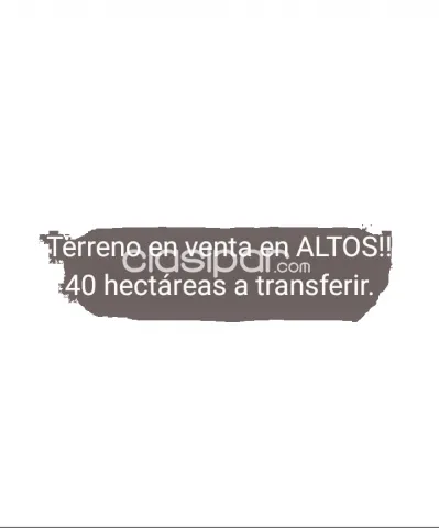 40 hectareas de campo en altos - cordillera, foto 2