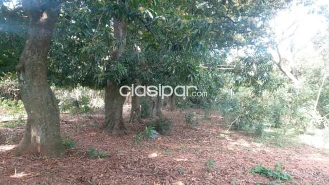 40 hectareas de campo en altos - cordillera, foto 3