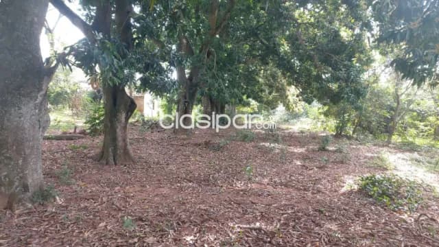 40 hectareas de campo en altos - cordillera, foto 4
