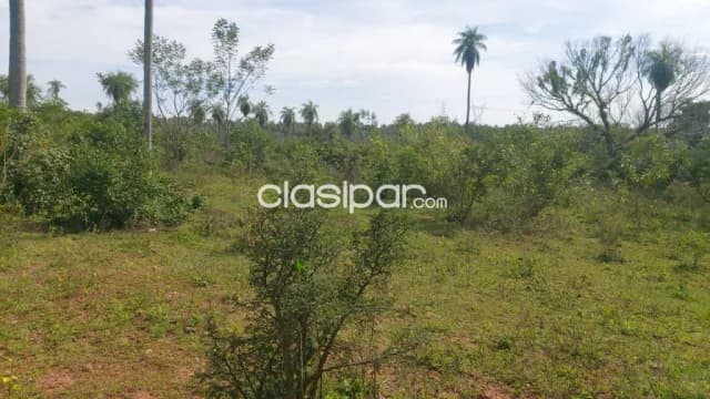 40 hectareas de campo en altos - cordillera, foto 5