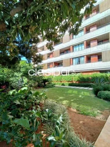 Departamento de un dormitorio en alquiler zona Seminario — foto 4