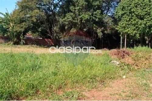 Oferta, 2 terrenos en isla bogado - Luque