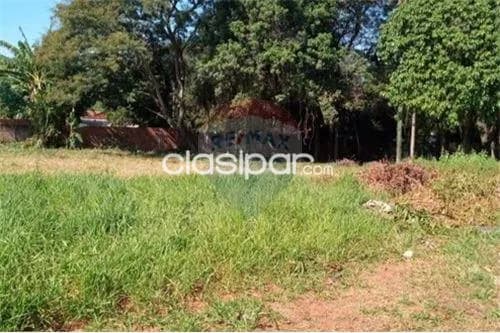 Oferta, 2 terrenos en isla bogado - Luque — foto 2