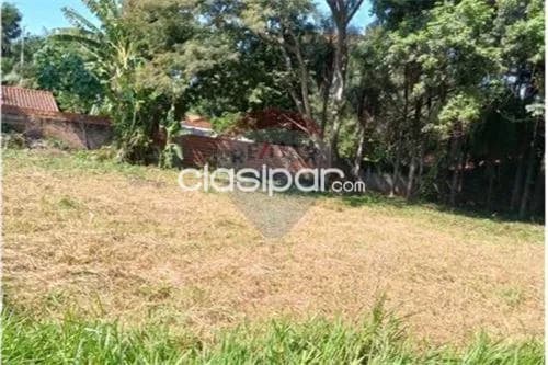 Oferta, 2 terrenos en isla bogado - Luque — foto 3