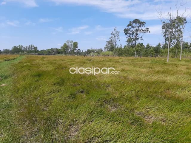 Luque – tarumandy, s/ ruta: 112.900 + 124.677 m2, sup. A convenir, uso p/ crecimiento mixt — foto 3