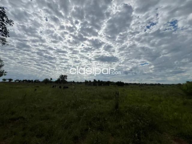 50 ha. Establecimiento en piribebuy - dpto. Cordillera — foto 2
