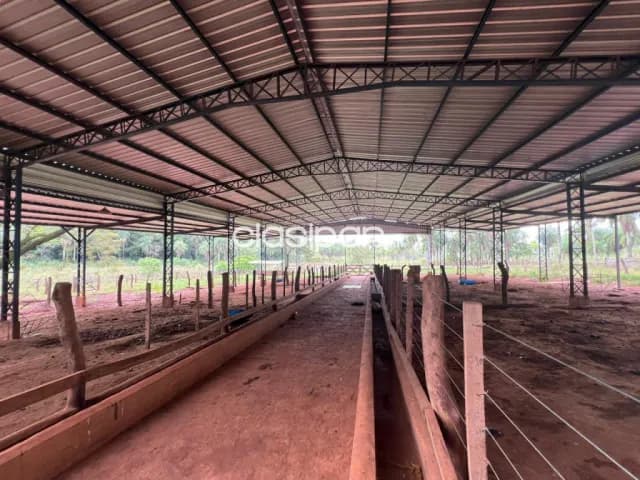 50 ha. Establecimiento en piribebuy - dpto. Cordillera — foto 4