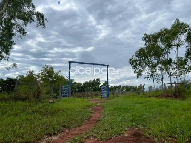 50 ha. Establecimiento en piribebuy - dpto. Cordillera — foto 5