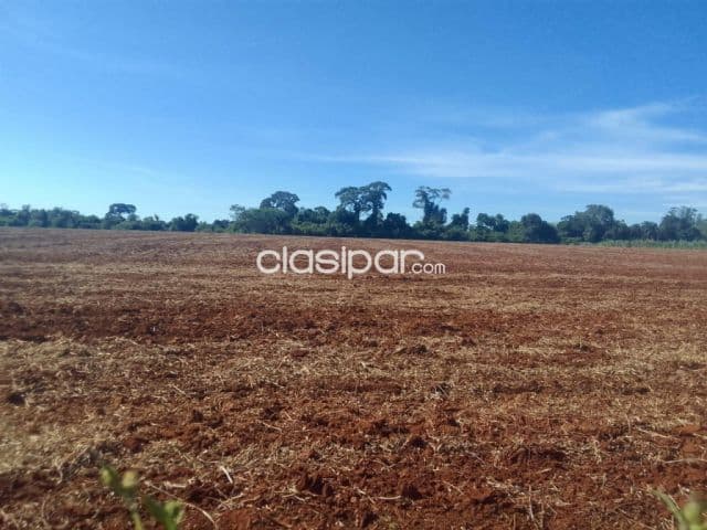 Campo Agrícola/Ganadero Mecanizado en Coronel Bogado sobre Ruta - 135 Ha