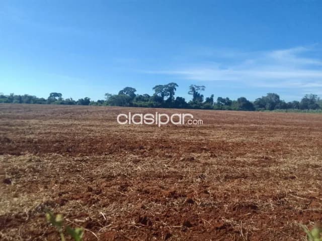 Campo Agrícola/Ganadero Mecanizado en Coronel Bogado sobre Ruta - 135 Ha — foto 2