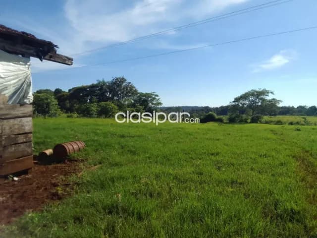 Campo Agrícola/Ganadero Mecanizado en Coronel Bogado sobre Ruta - 135 Ha — foto 3