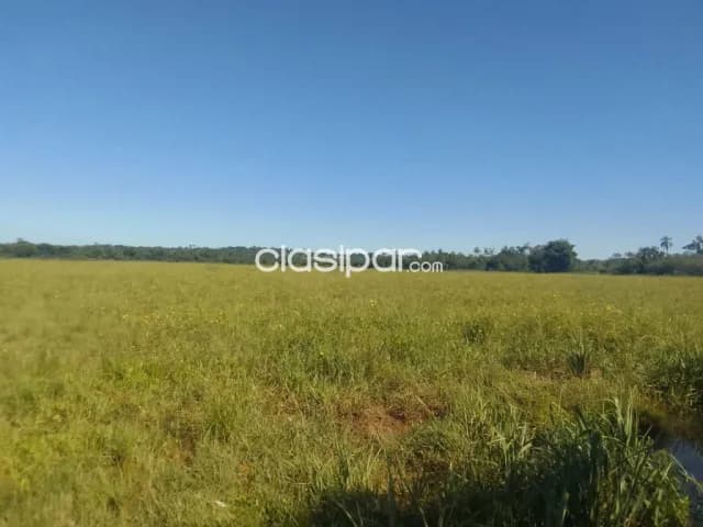 Campo Agrícola/Ganadero Mecanizado en Coronel Bogado sobre Ruta - 135 Ha — foto 4