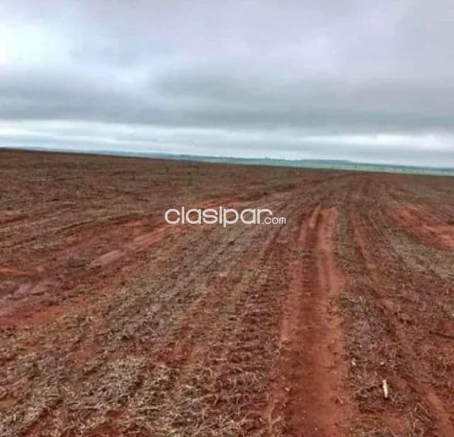 Nueva toledo, caaguazú: 4.874 has mecanizadas, tierra roja de optima producción + montes, foto 1