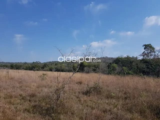 Campo Agrícola/Ganadero en Nueva Colombia - 102 Ha — foto 2