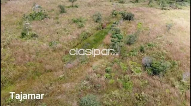 Campo Agrícola/Ganadero en Nueva Colombia - 102 Ha — foto 3