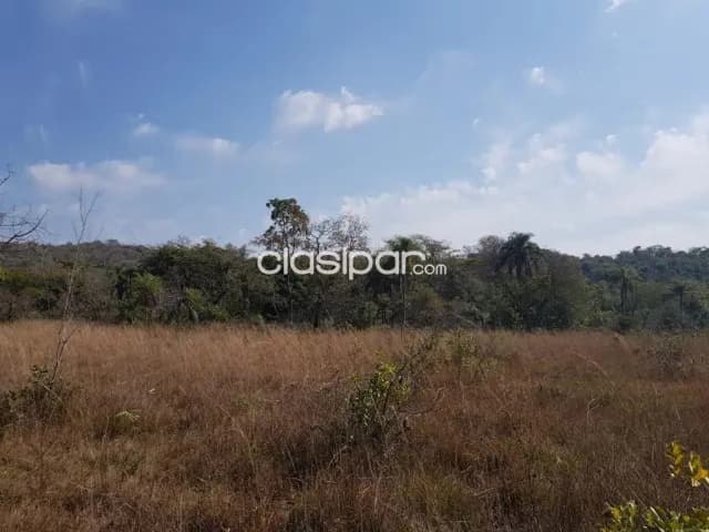 Campo Agrícola/Ganadero en Nueva Colombia - 102 Ha — foto 4