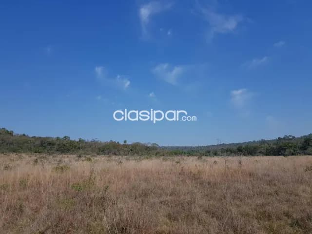 Campo Agrícola/Ganadero en Nueva Colombia - 102 Ha — foto 5
