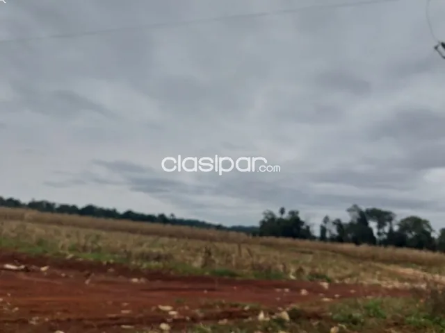 de propiedad agricola, foto 3