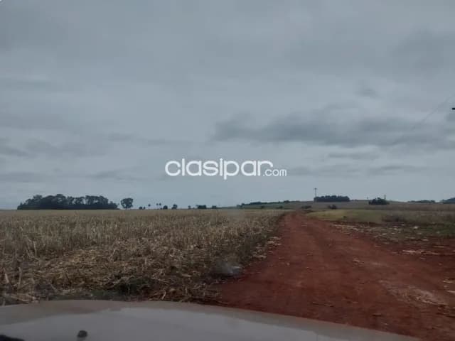 de propiedad agricola, foto 4