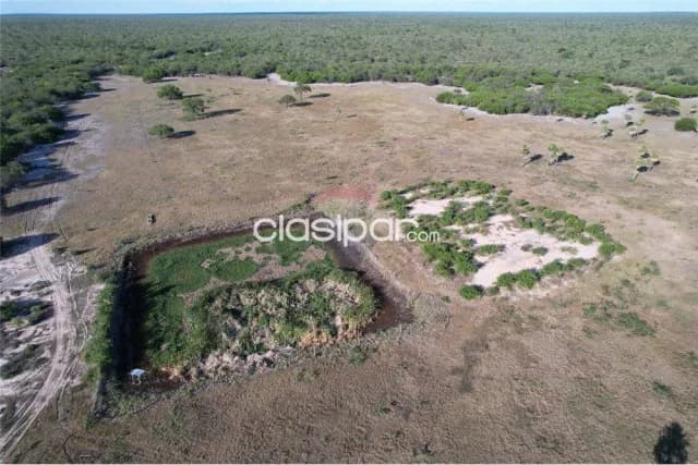 Amplia estancia en fuerte olimpo - chaco — foto 4