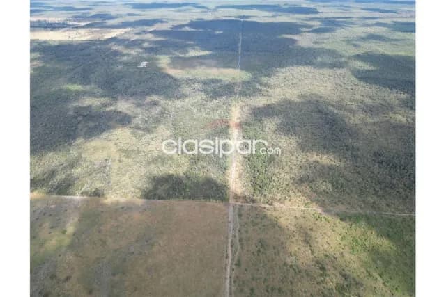 Hectáreas en Venta, foto 3