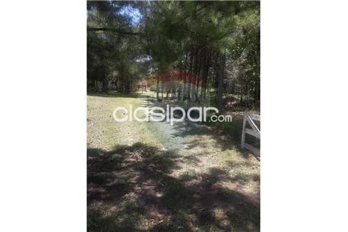Estancia en Trinidad - itapua, foto 4
