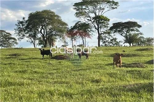 Estancia en Trinidad - itapua, foto 5