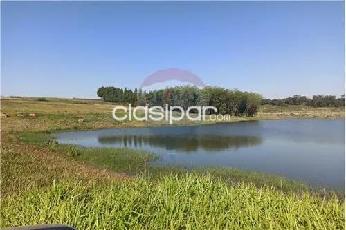 Propiedad agricola en itapua, foto 3
