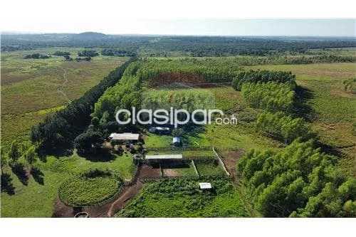 Campo en venta en san juan nepomuceno, foto 3