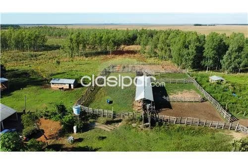 Campo en venta en san juan nepomuceno, foto 4