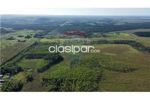 Campo en venta en san juan nepomuceno, foto 5