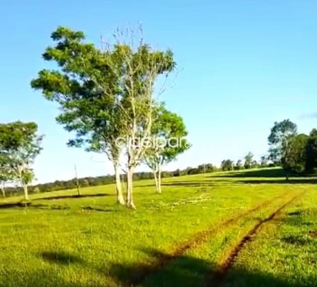 Terreno Rural en Jesus - 14 Ha
