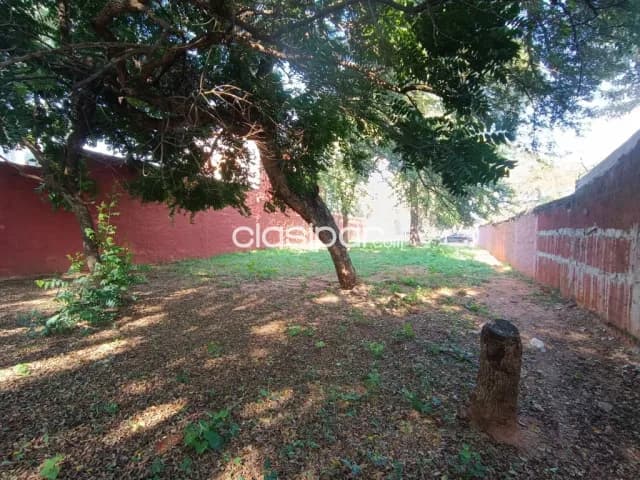 Hermoso terreno en m.r.a — foto 5