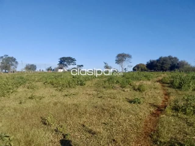 Terreno Rural en Coronel Bogado costas al Río Paraná - 4 Ha, foto 3