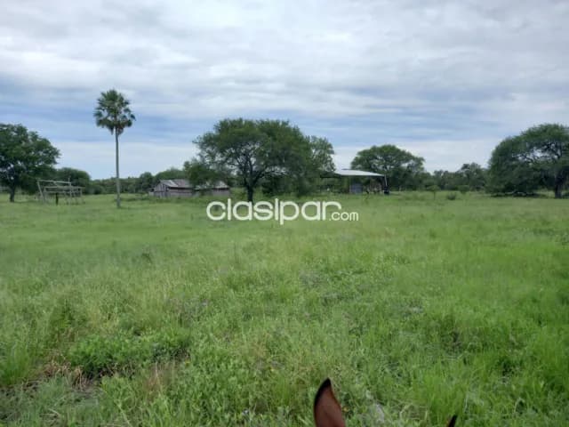 campo de 1.879 has, Formosa, Argentina, foto 5