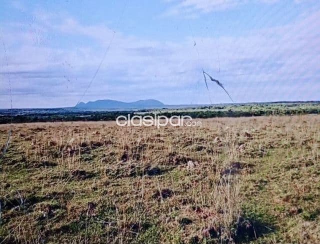 Campo Agrícola/Ganadero en Quiindy - 103 Ha
