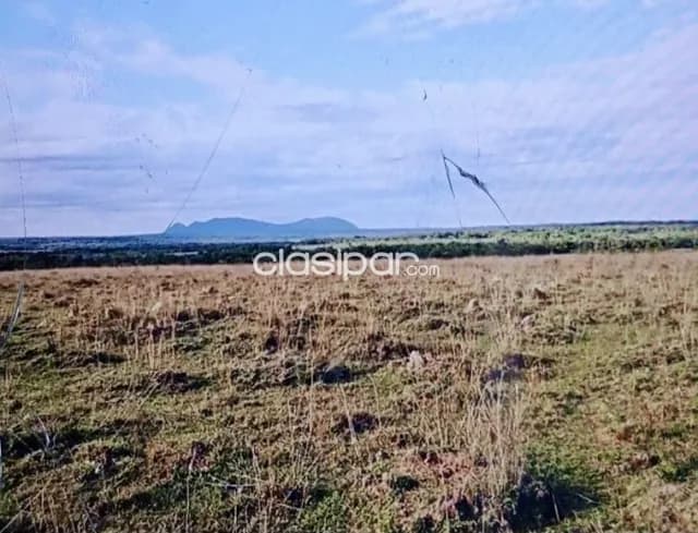 Campo Agrícola/Ganadero en Quiindy - 103 Ha — foto 2