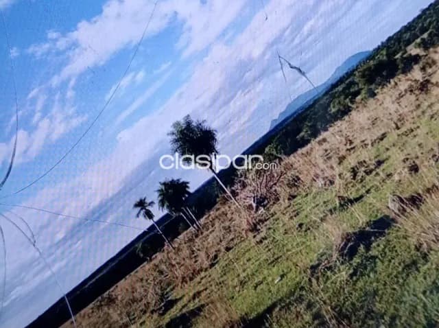 Campo Agrícola/Ganadero en Quiindy - 103 Ha — foto 4