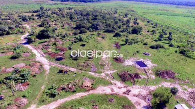 Campo Ganadero en Villa Hayes - 50 Ha, foto 2